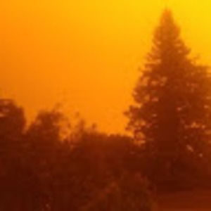 Meet your Posher, Albert